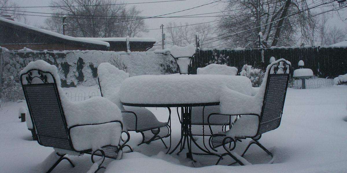snowy-back-yard