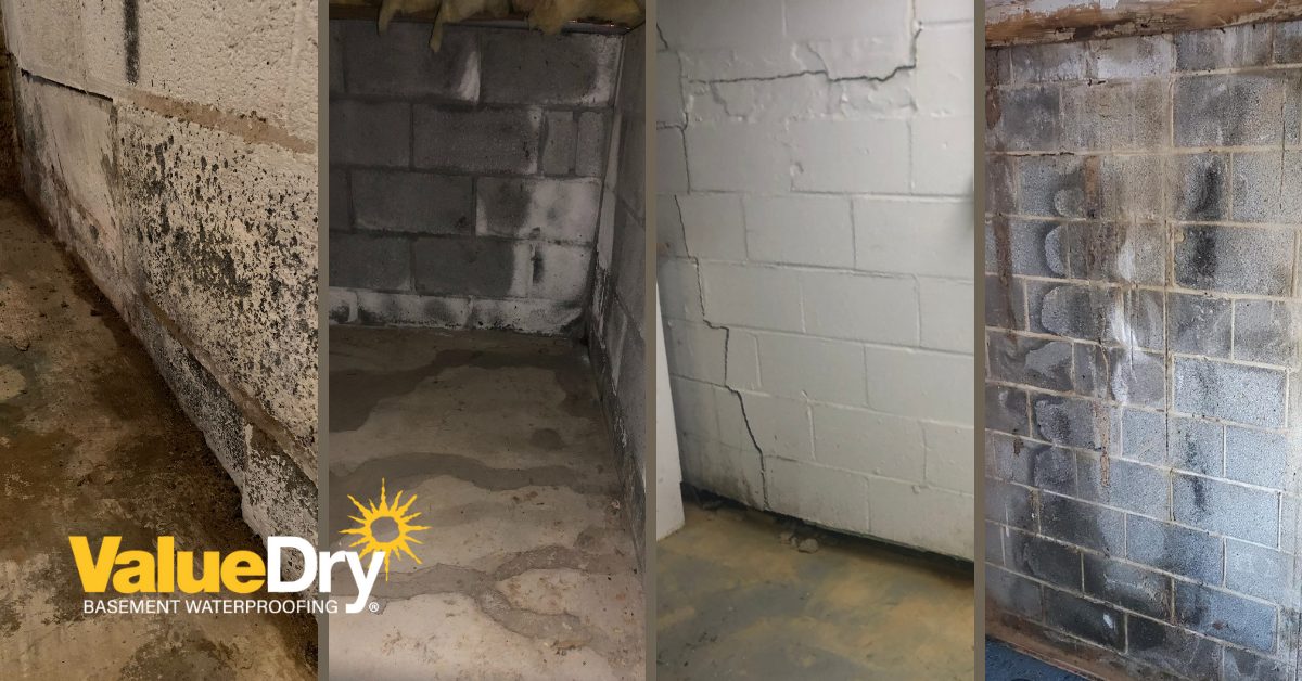 A Wet Basement Is a Scary Basement - Value Dry Basement Waterproofing