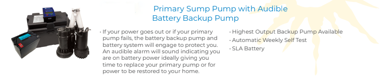 image of primary sump pump with audible battery back up pump