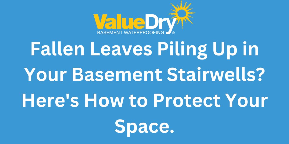 Fallen Leaves Piling Up in Your Basement Stairwells? Here's How to Protect Your Space.
