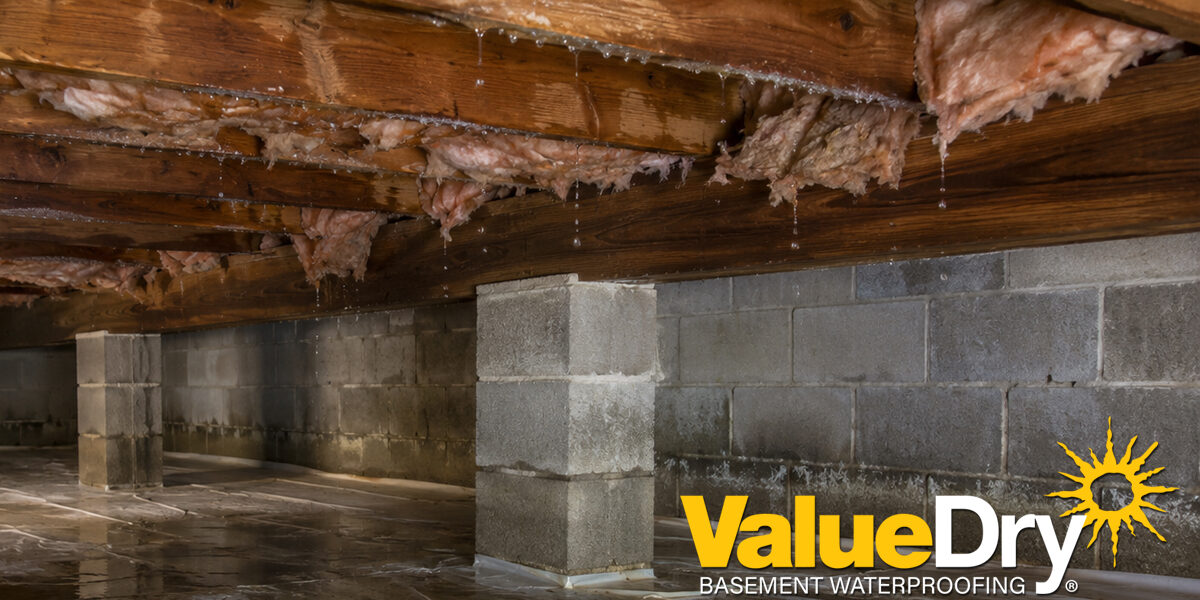How to Reduce Crawl Space Condensation in Maryland