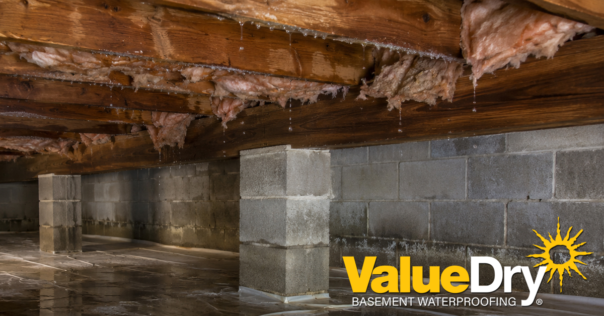 How to Reduce Crawl Space Condensation in Maryland